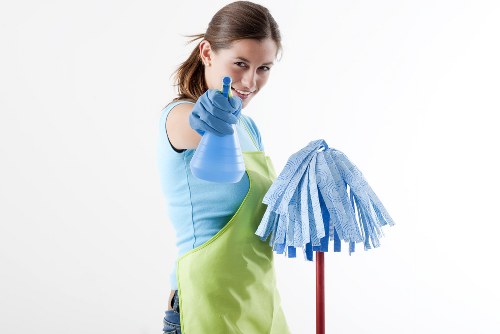 Professional Streatham carpet cleaners refreshing a living room carpet
