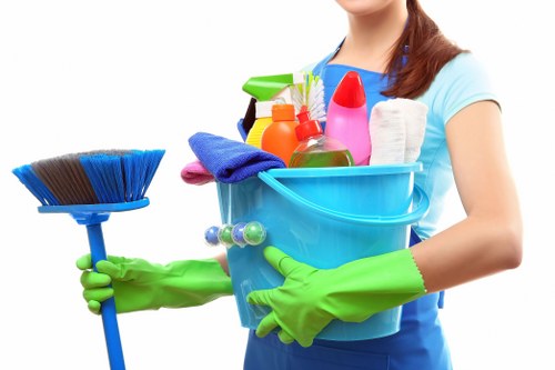 Deep carpet cleaning equipment removing dirt from fibers